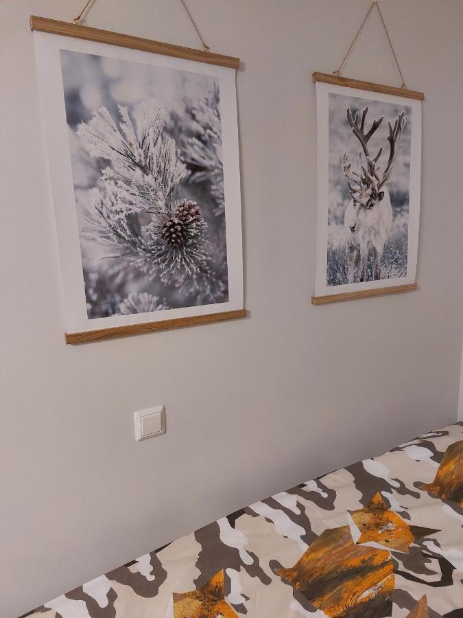 Nordic Home, With Private Sauna Rovaniemi Exterior foto